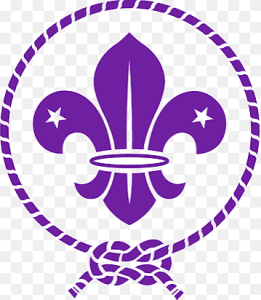 Scout